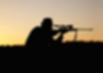 hunting-the-hunter-2023-05-03-10-08-01-utc.jpg