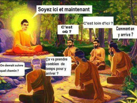 Mon environnement et mon taux vibratoire : le grand TRI