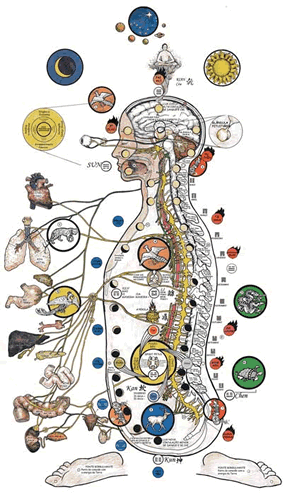 Magic Pearl Qigong_ A Tai Chi Medicine B