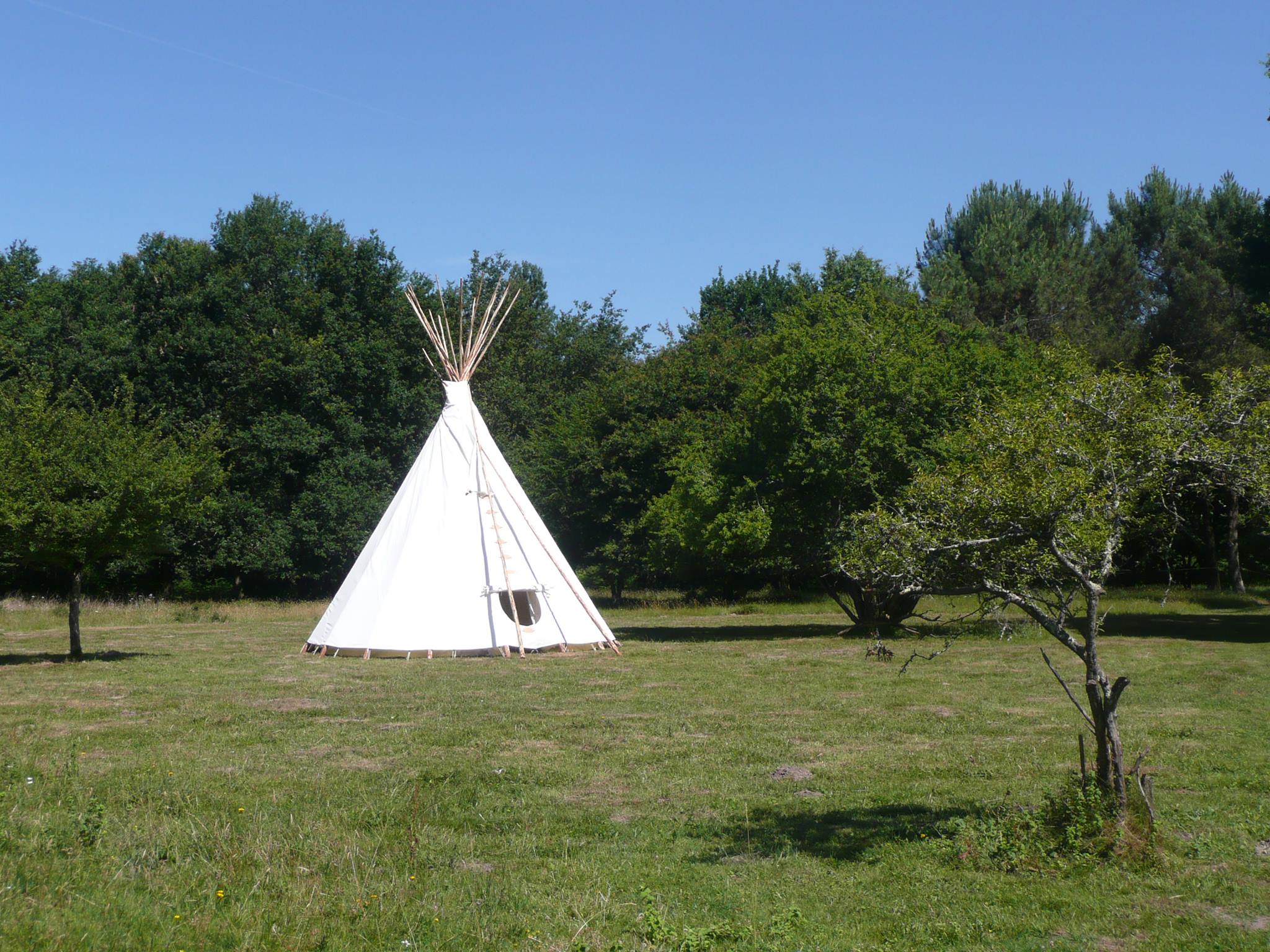 lattraperevelieuressource