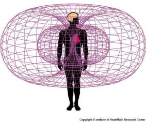 Le thorus - S'aligner en quelques instants