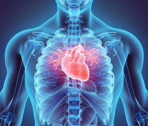 Boost Your Blood Quality with Nattokinas