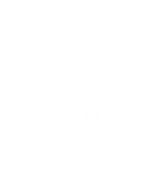 Untitled design - 2023-05-11T122138.110.png