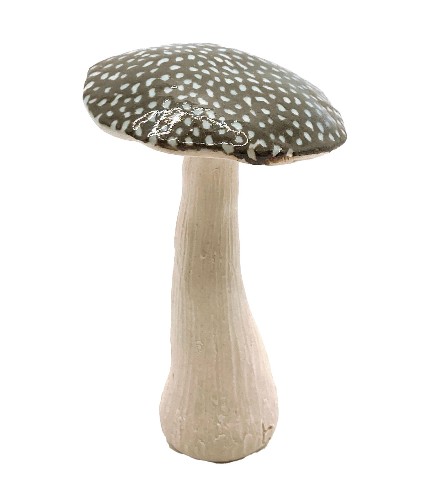 blue/brown dotted shroom