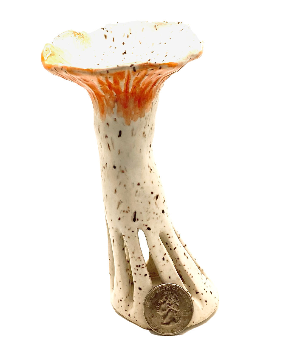 Thumbnail: single tiger milk mushroom