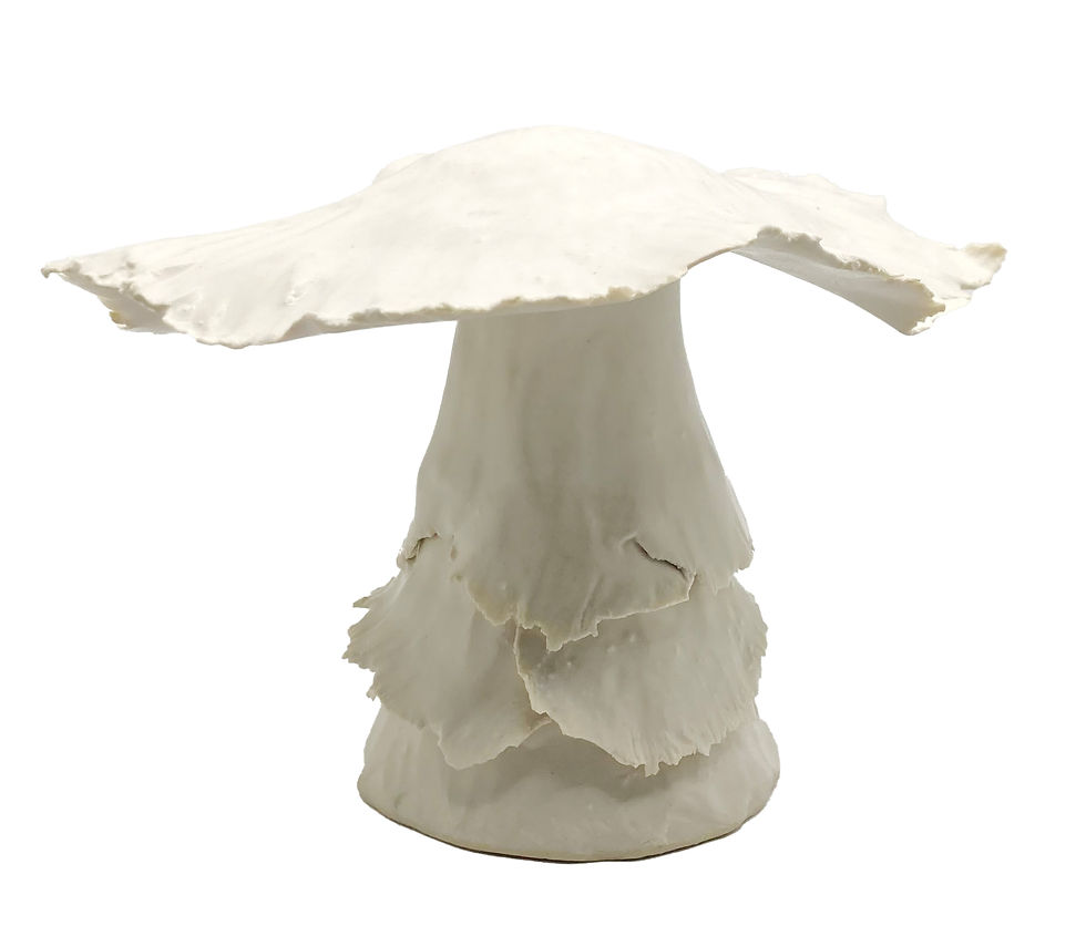 Thumbnail: "Paper" Mushroom Short