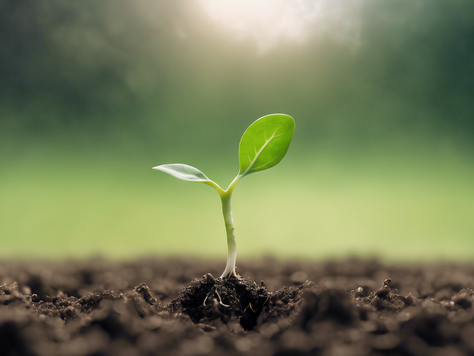 Discover Personal Growth with TimSkeneWellbeingCoaching