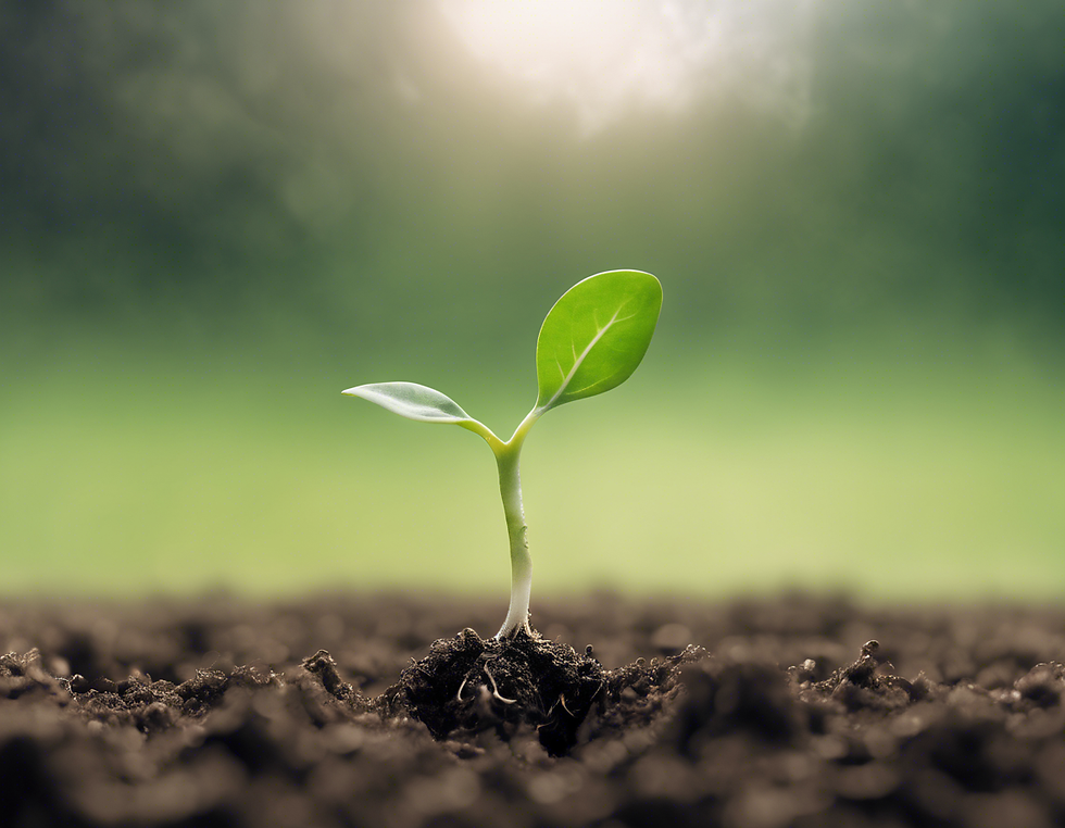 Discover Personal Growth with TimSkeneWellbeingCoaching
