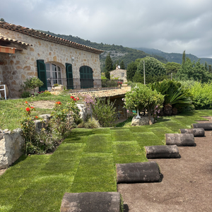 Gazon Naturel en plaques 