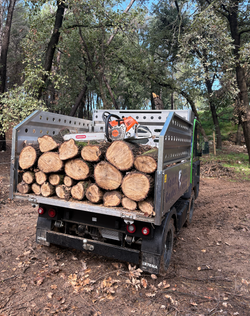 Capture d’écran 2024-11-05 à 16.46.30
