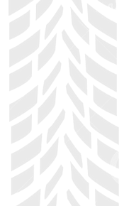 ruota-della-traccia-65561056_edited_edit