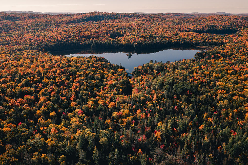 DJI_20250927100600_0040_D-2.jpg