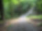 Sentier_DESMARAIS.jpg