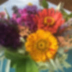 zinnia flowers