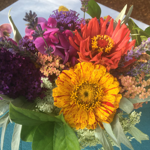 最終値下げ新品soor ploom DunesDress Zinnia 8y 最終値下げ新品soor ploom DunesDress Zinnia 8y - メルカリ