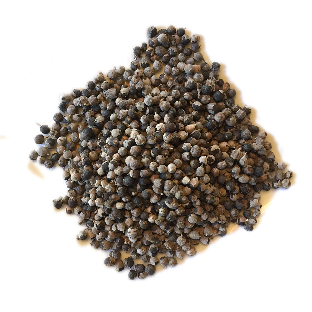 Chaste Tree Berries, Whole