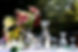 thyme-garden-wedding-tables-glassware-profile.jpg