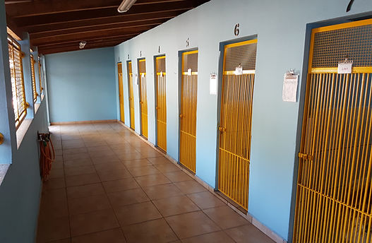 Área dos Grandes