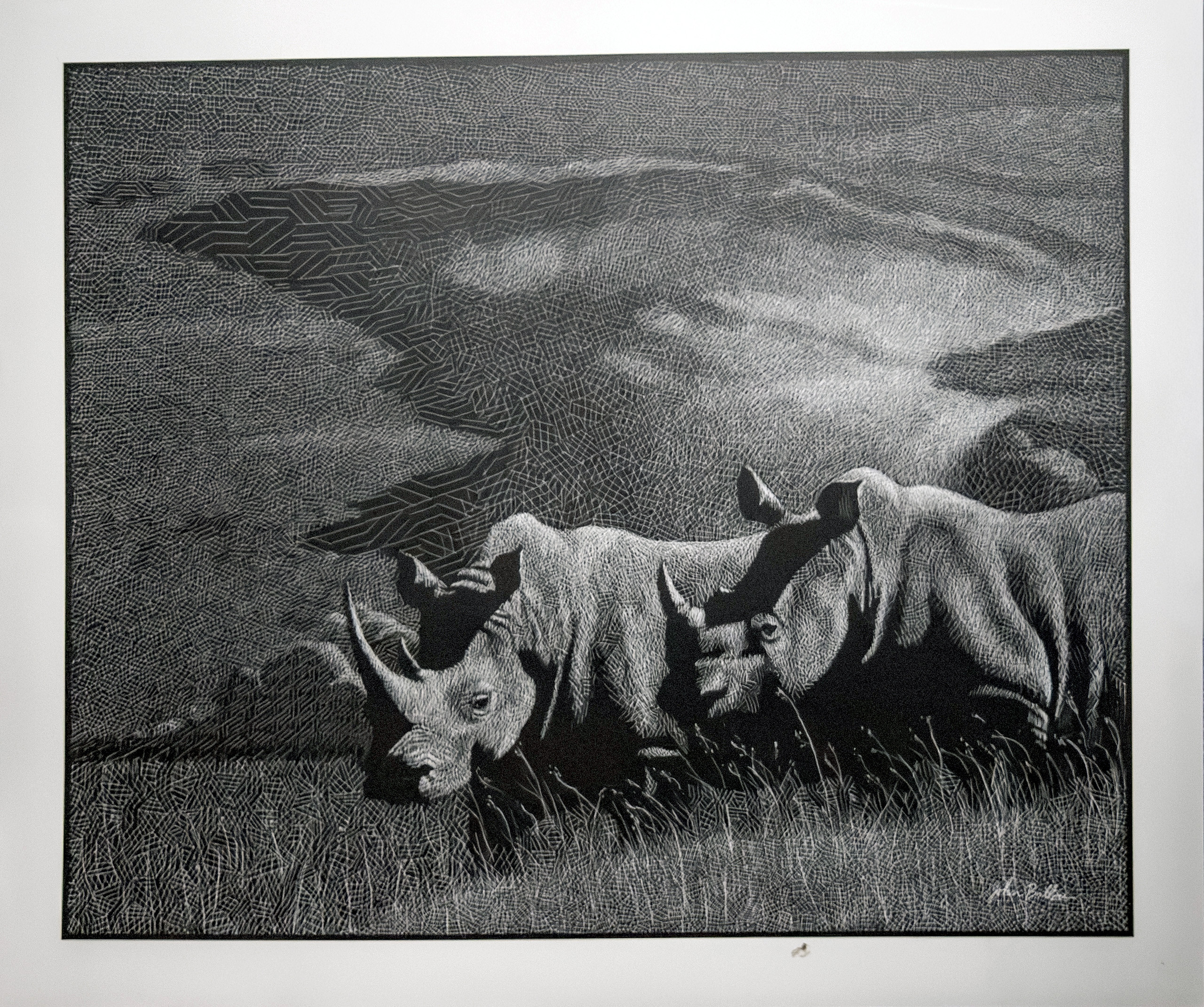 Rhinos