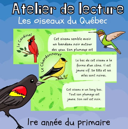 Atelier de lecture - Les oiseaux du Québec (1re)