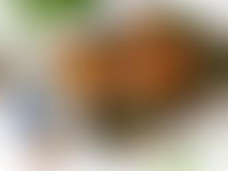 Grilled Portobello Mushrooms