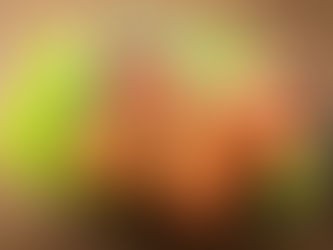 Keto Buttermilk Fried Chicken