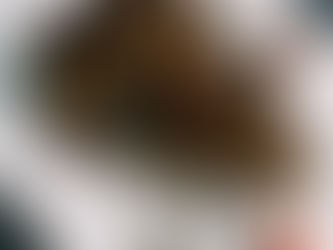 FRUIT AND FIBER ZUCCHINI BROWNIES