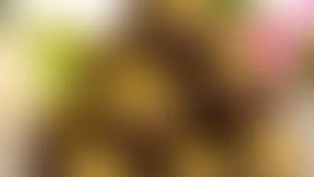 Pistachio Chocolate Protein Truffles