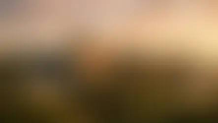 Things To Do in St. Augustine: A Season-by-Season Local Guide