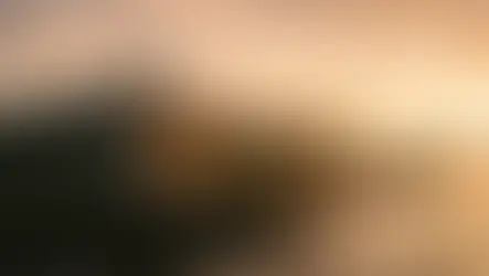 Things To Do at St. Augustine Florida: Season-by-Season Guide