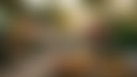 Farmers Market St Augustine Florida: A Practical Walkthrough