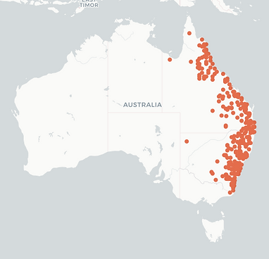 Casuarina cunninghamiana map AVH.png
