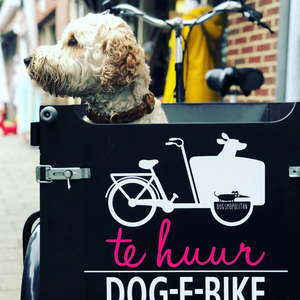 Dog-E-Bike Dogsmopolitan Domburg