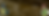 bannerRedC_Mesa de trabajo 1.png