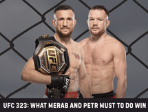 ufc 323