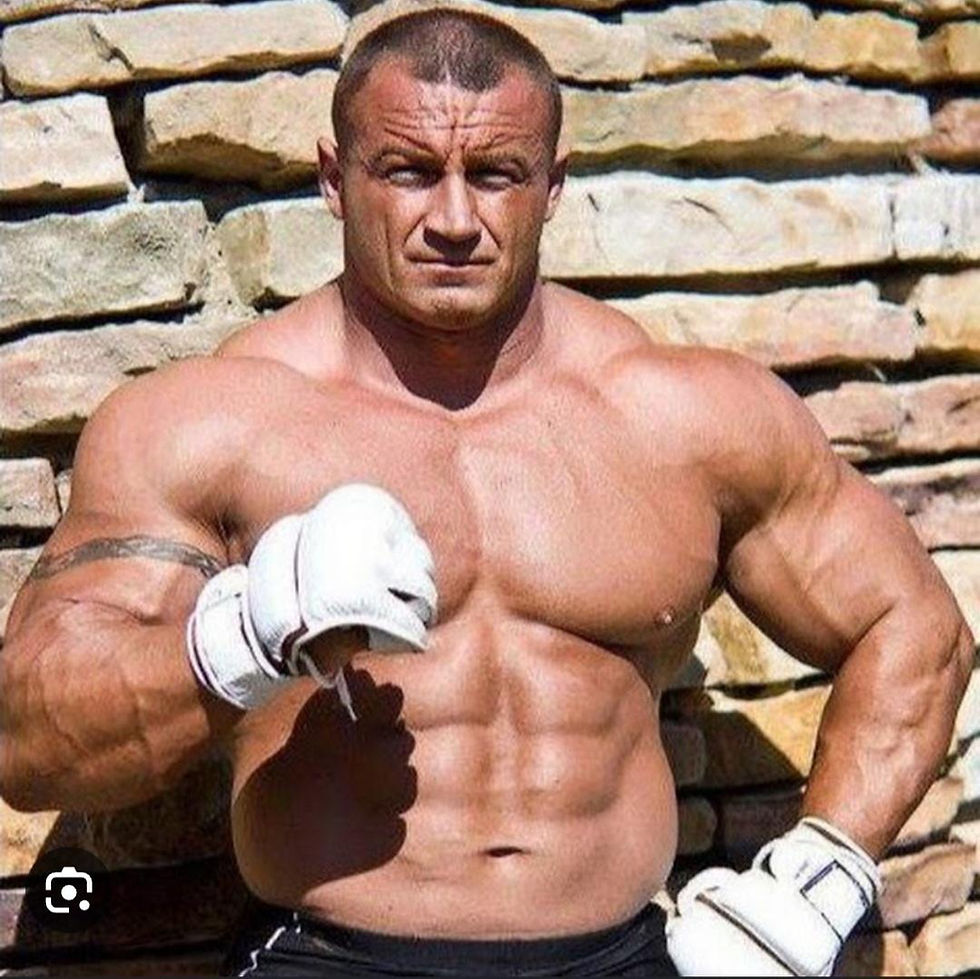 KSW 105