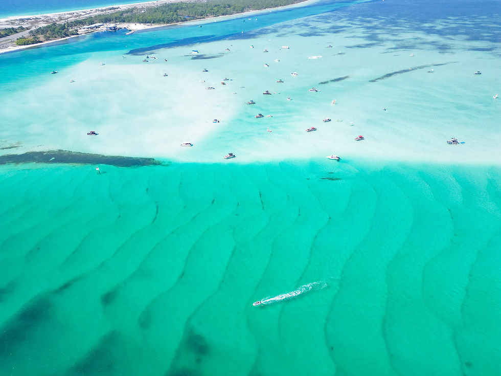 Crab Island Water Clarity Explained By Surf N Pontoons