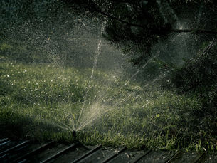 How Often Should You Run Your Irrigation System in Florida?