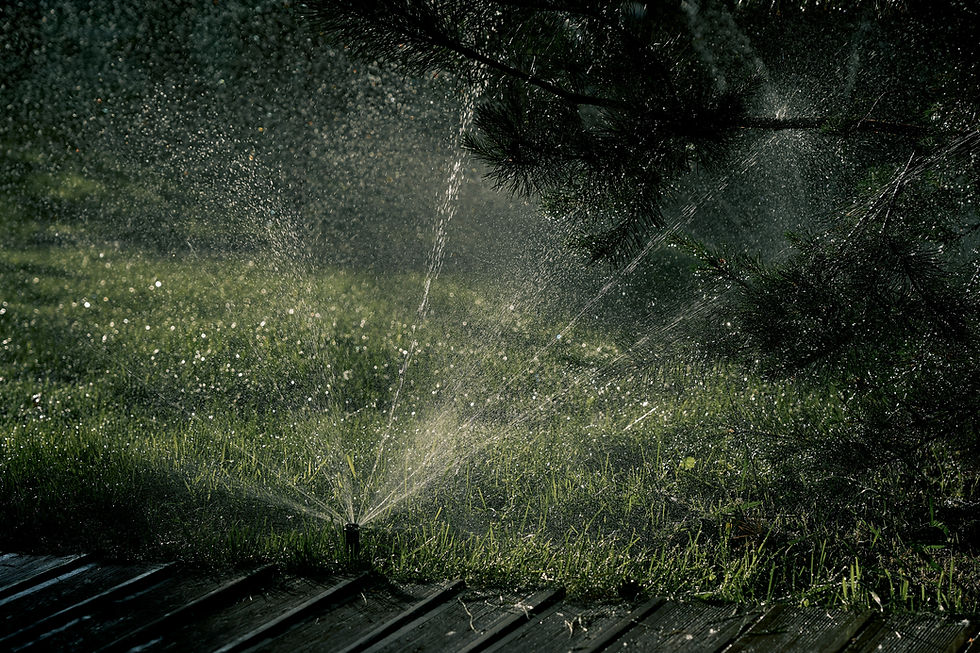 Irrigation System