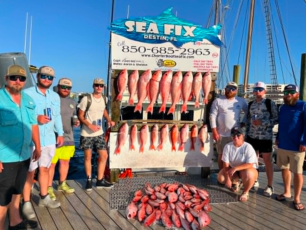 Red Snapper Fishing