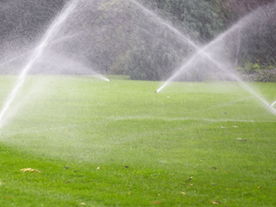 sprinkler