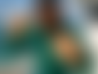 Deckhand from Destin, Florida