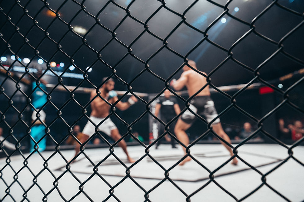 The Best MMA Organizations in the World: A Ranking