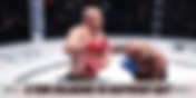 Joe Rogan Hails Fedor Emelianenko as the Greatest Heavyweight in MMA History