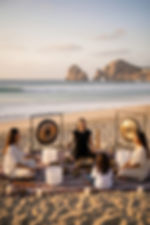 WhatsApp Image 2026-02-24 at 13.10.31.jpeg