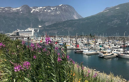 Whittier-Harbor-Cruise-Ship-anna-dave-disckason-alaska-whittier-trip-ideas.jpg
