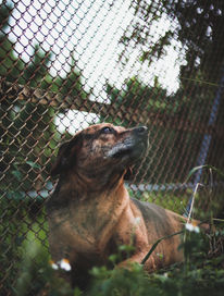 Copy of IMG_1055.jpg