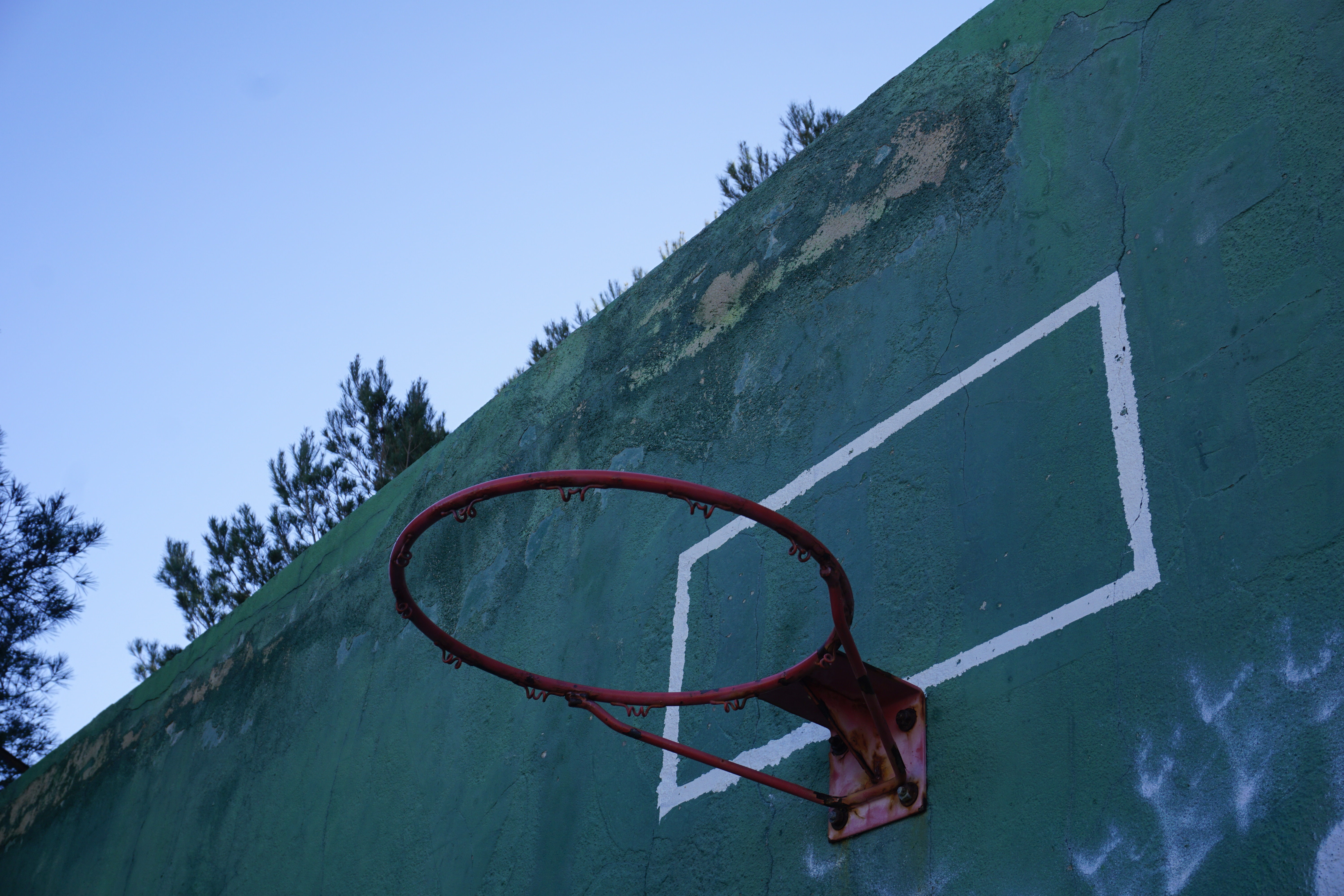 Cassis n°7