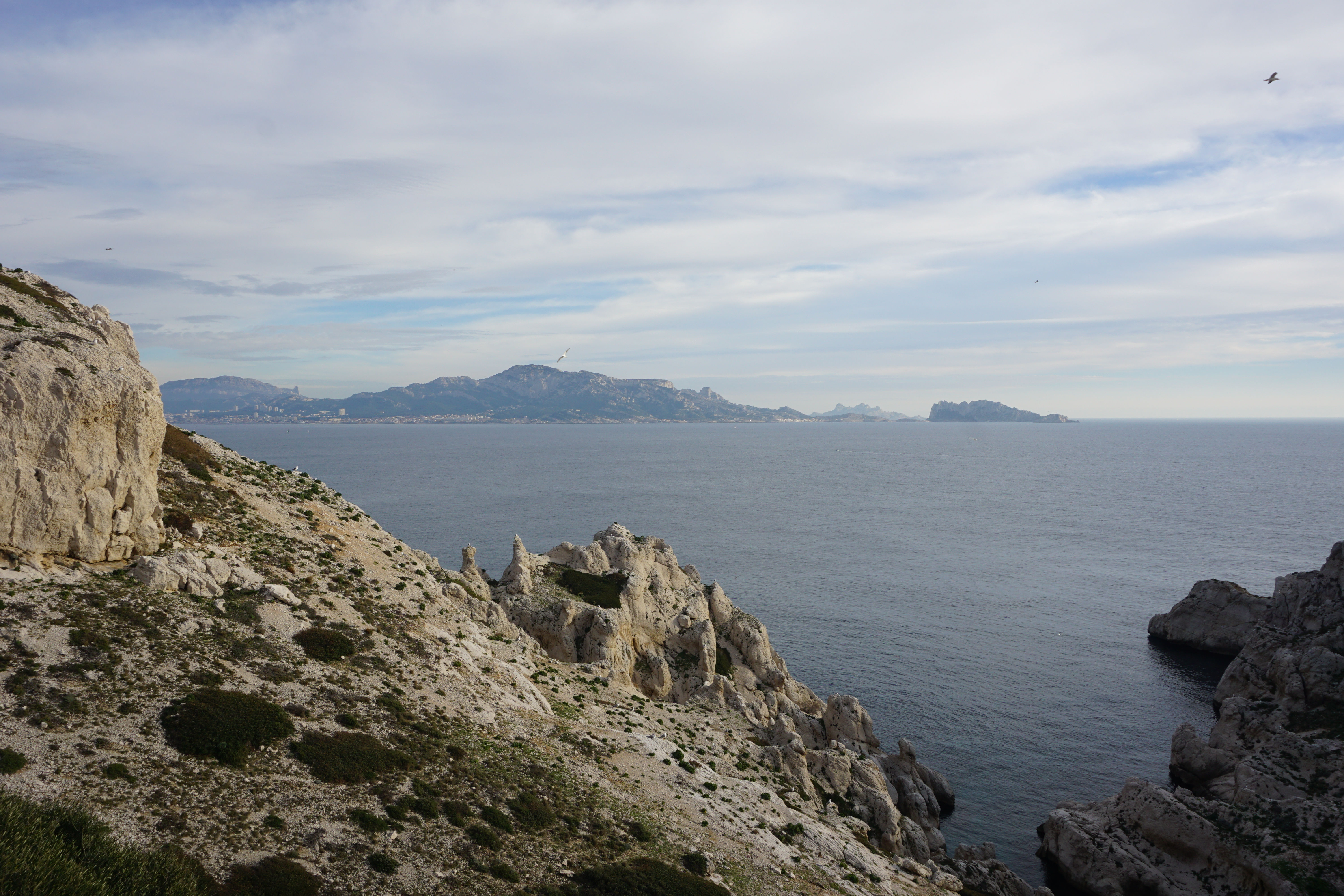 Porquerolles n°8