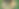 Vase-Creation-The-Spray-Collection (3).png
